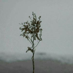 男生把🐔扎进男人屁股里
