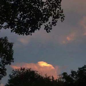 男生把🐔扎进男人屁股里
